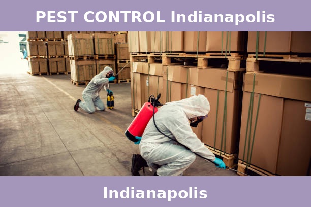 PEST CONTROL Indianapolis